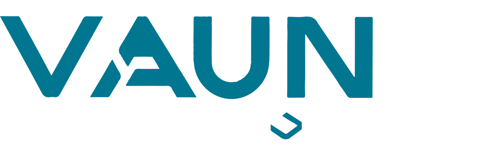 VaunIT WebSolutions